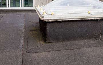 disadvantages of Woodwell flat roofs